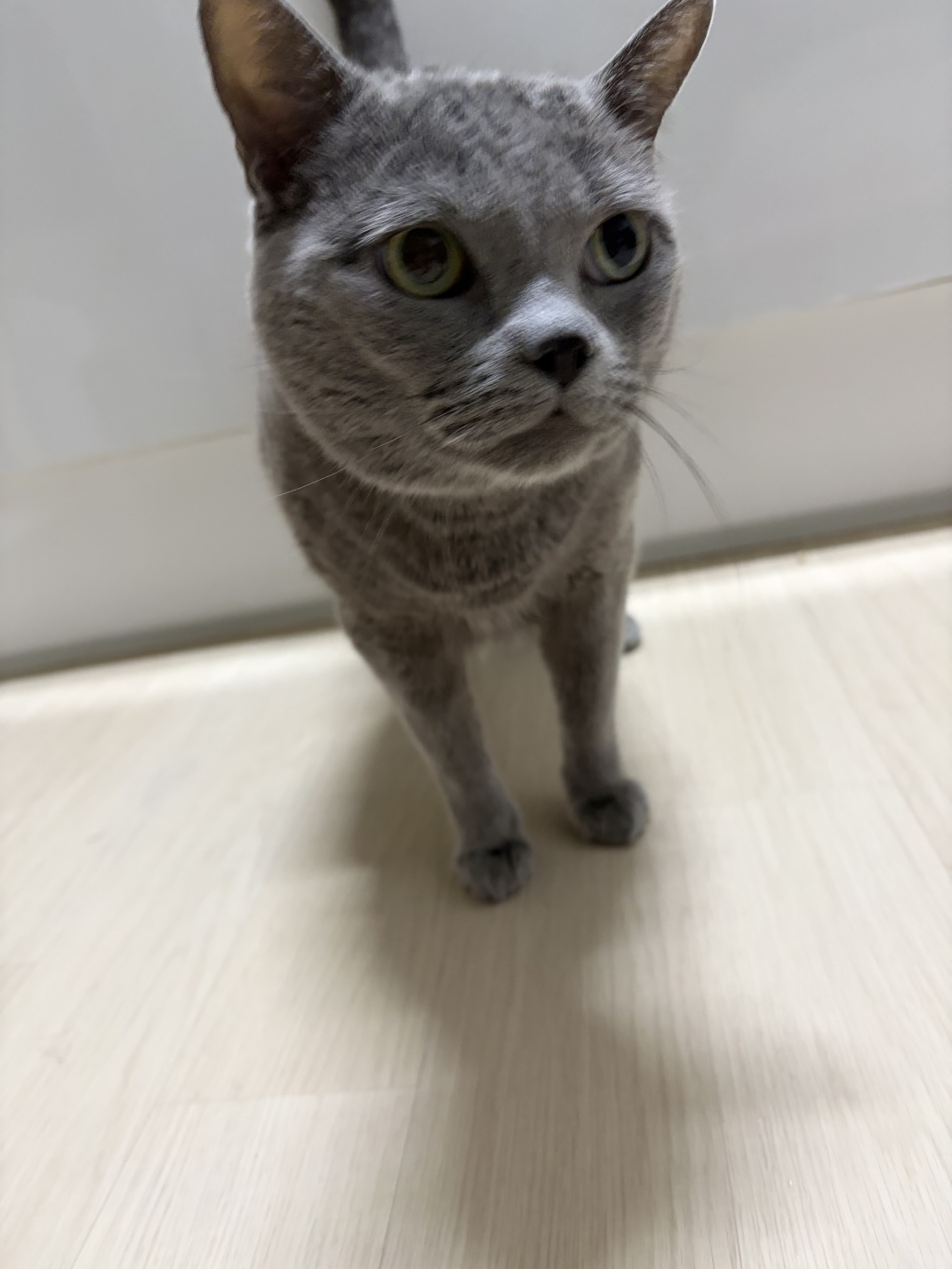 260324 부평 츄르.jpg