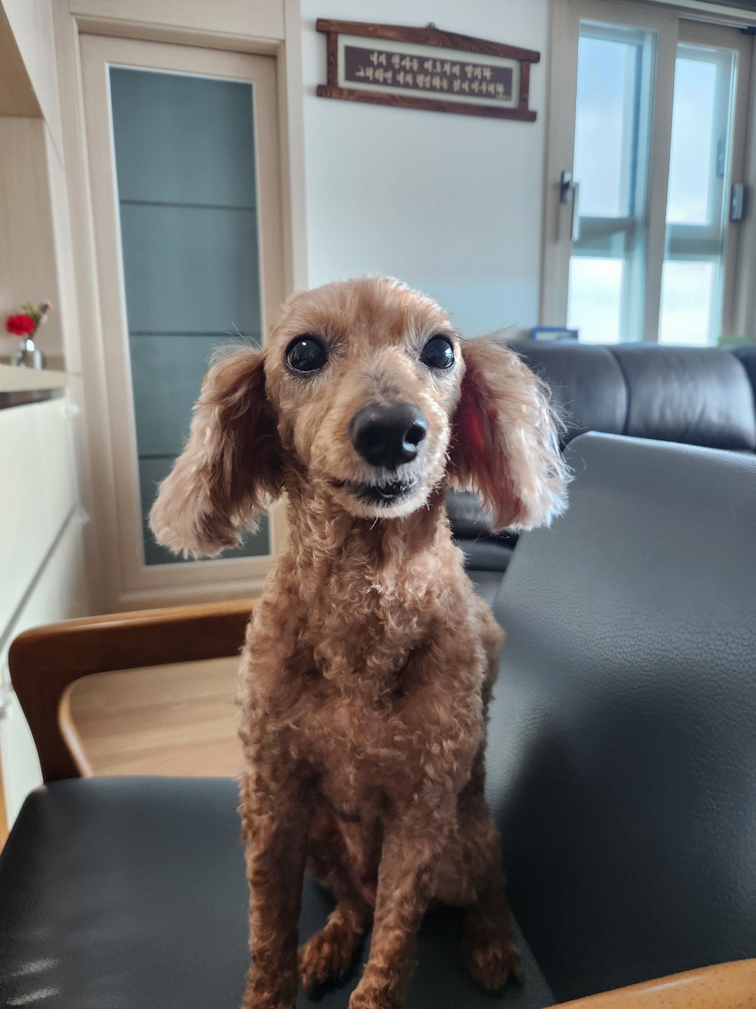 260324 태릉 코코.jpg