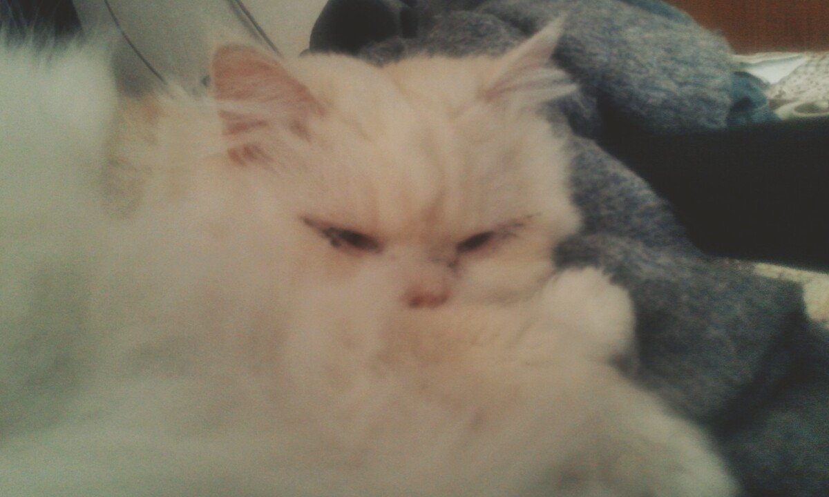 260309 광명 밍밍.jpg