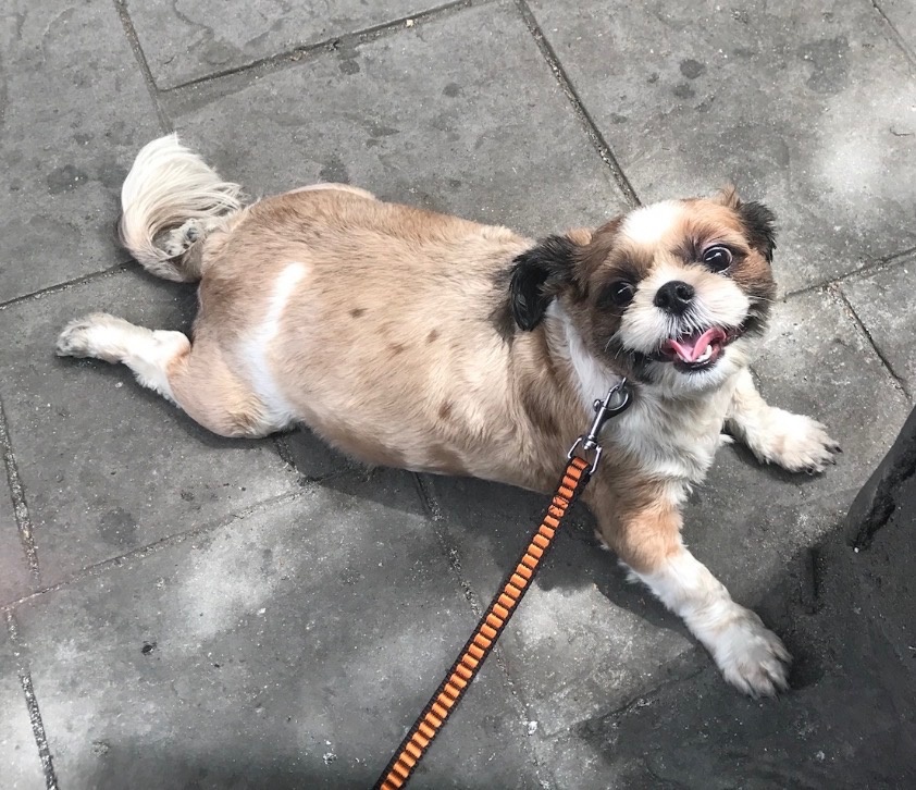 260317 만수동 떡이.jpg