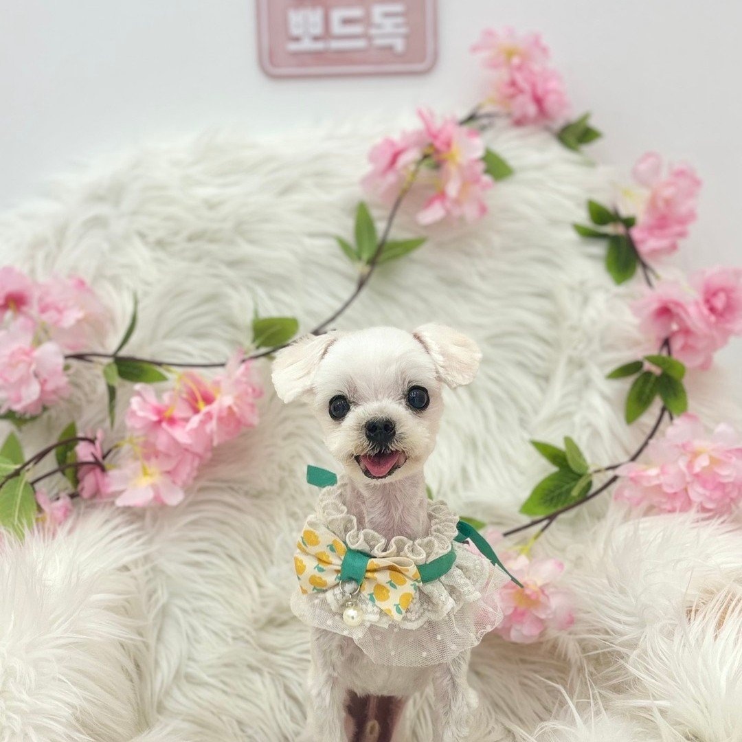 260325 서창 박하.jpg