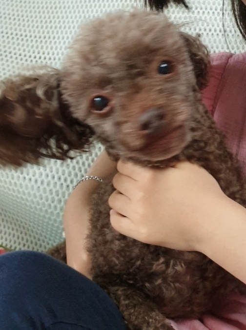 260414 낙성대 산드라.jpg