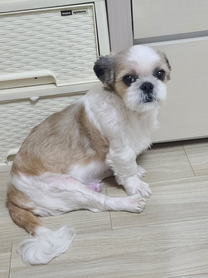 260414 수원 주몽.jpg