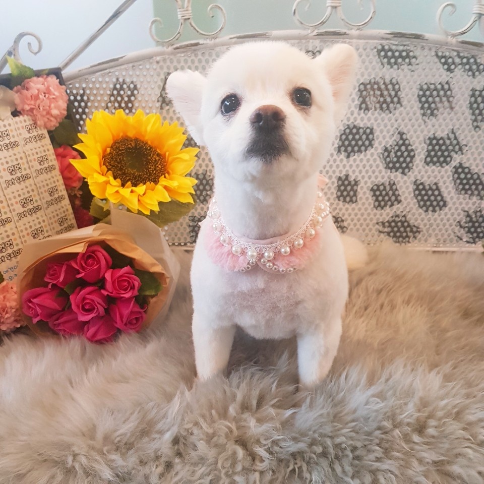 260421 부천 포미.jpg