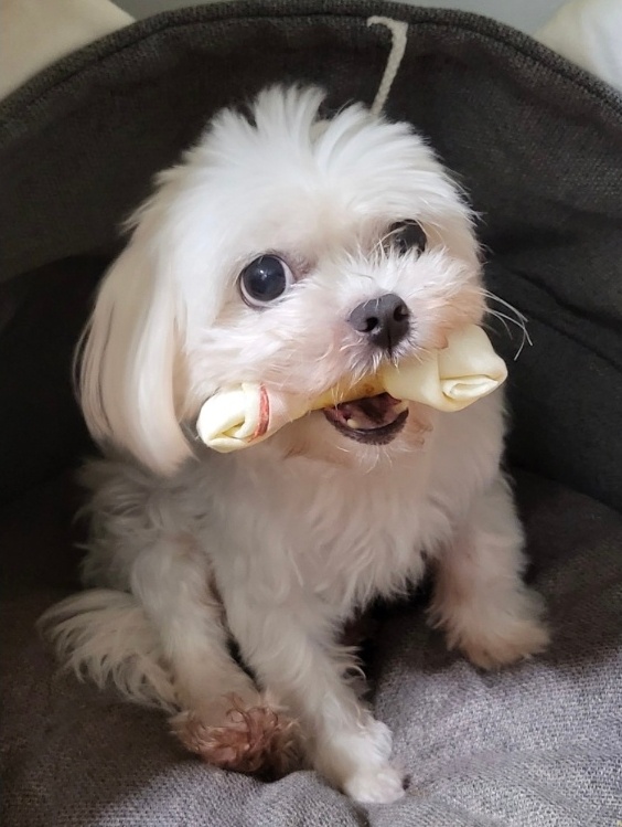 260422 양천구 단비.jpg