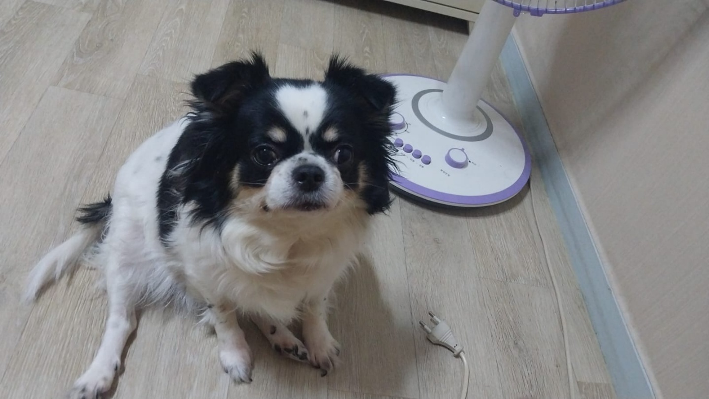 260423 계양 또또.jpg