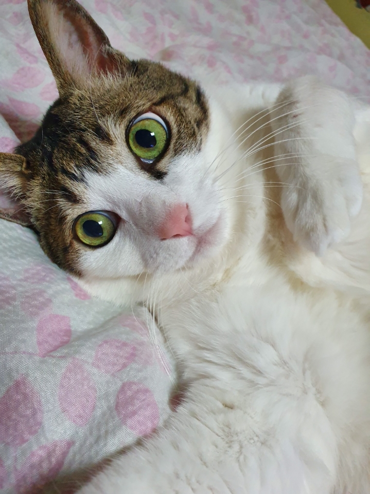 260425 안양 만수.jpg