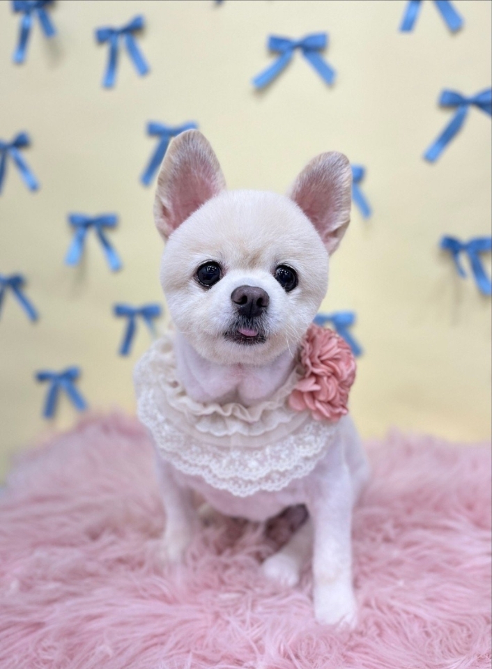 260404 군포 콩이.jpg