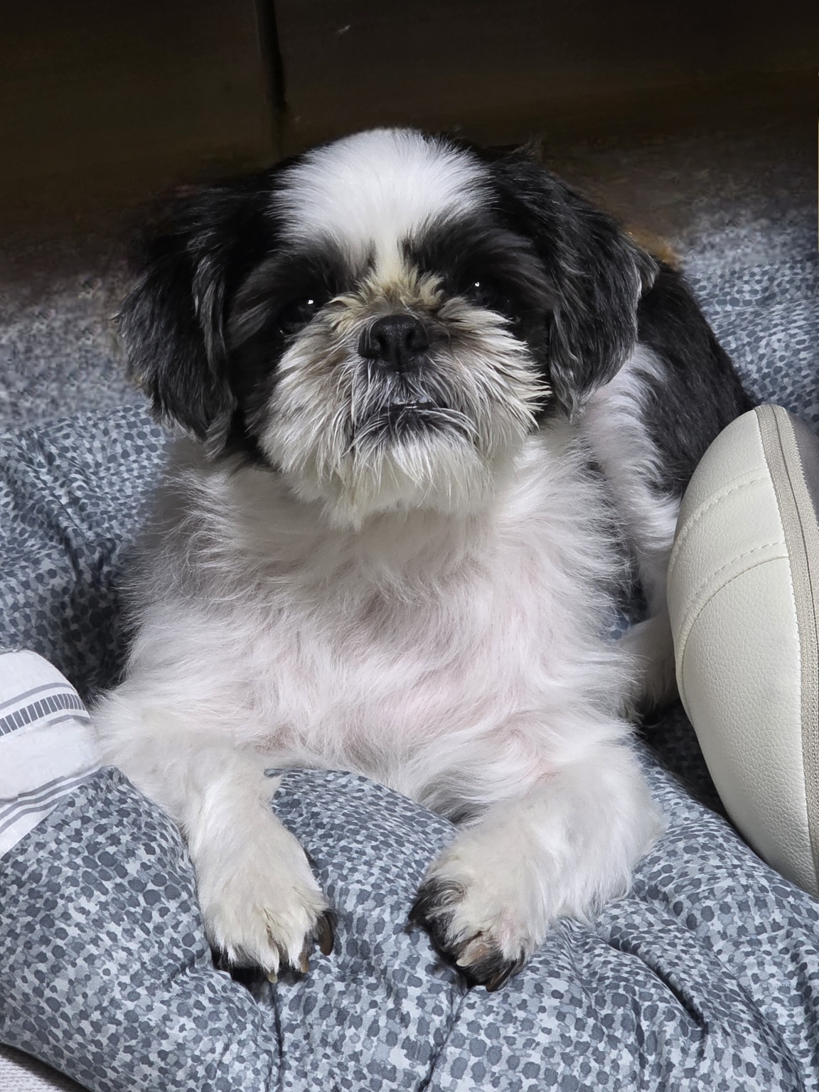 260410 부천 초롱이.jpg