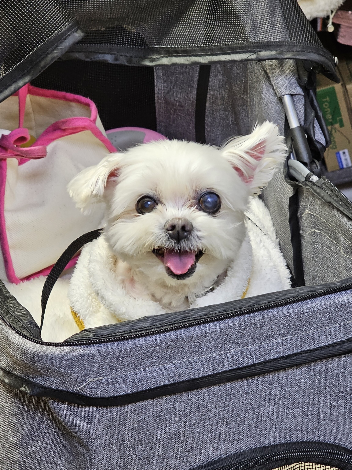 260416 남동구 초롱.jpg