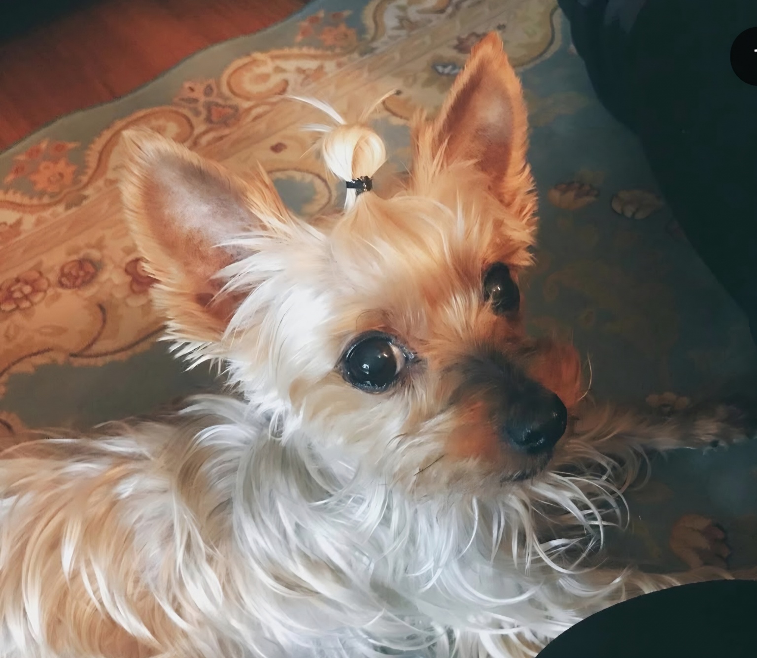 260421 부천 몽실이.jpg