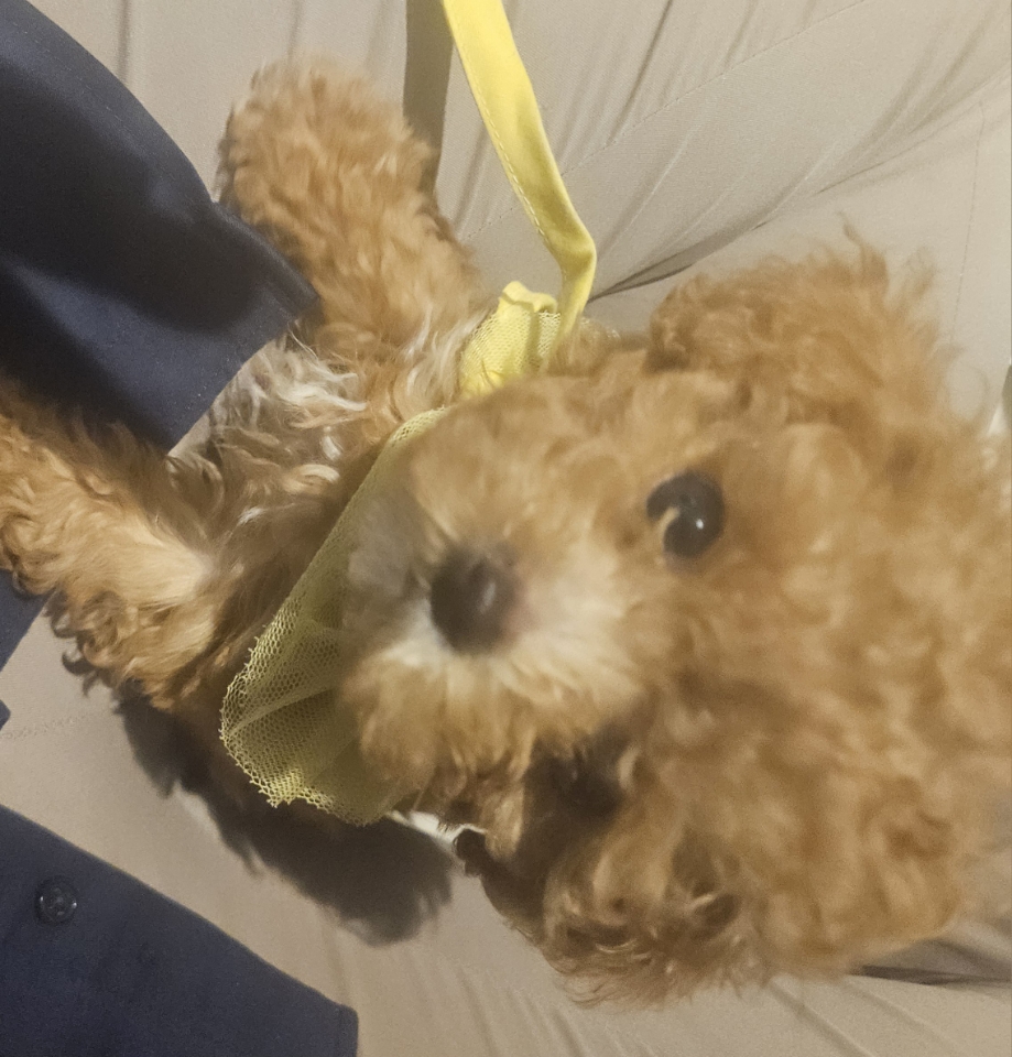 260421 금천구 써니.jpg