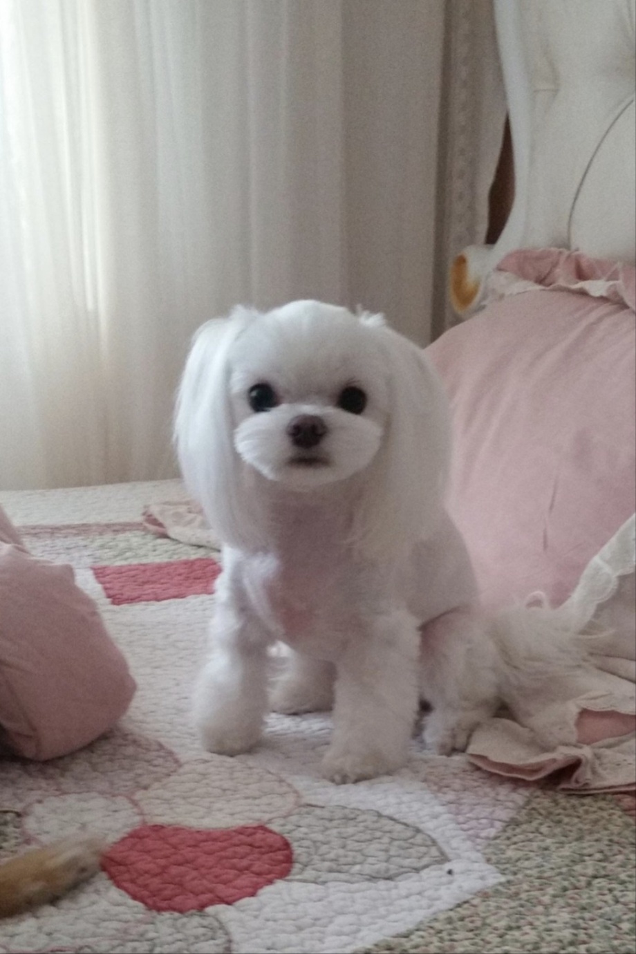 260423 간석 엘리.jpg